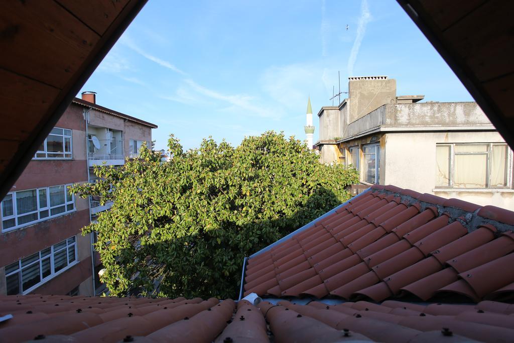 Sebile Hanim Konagi Unye Extérieur photo
